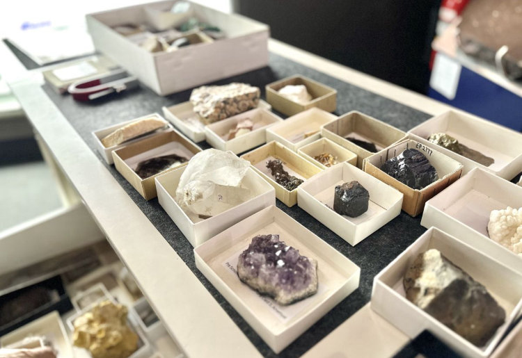 Variety of mineral specimens sit on top of trolley